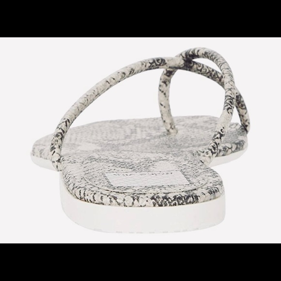 NIB DOLCE VITA SZ7.5 Stone Snake print Stella Sand - Picture 7 of 12